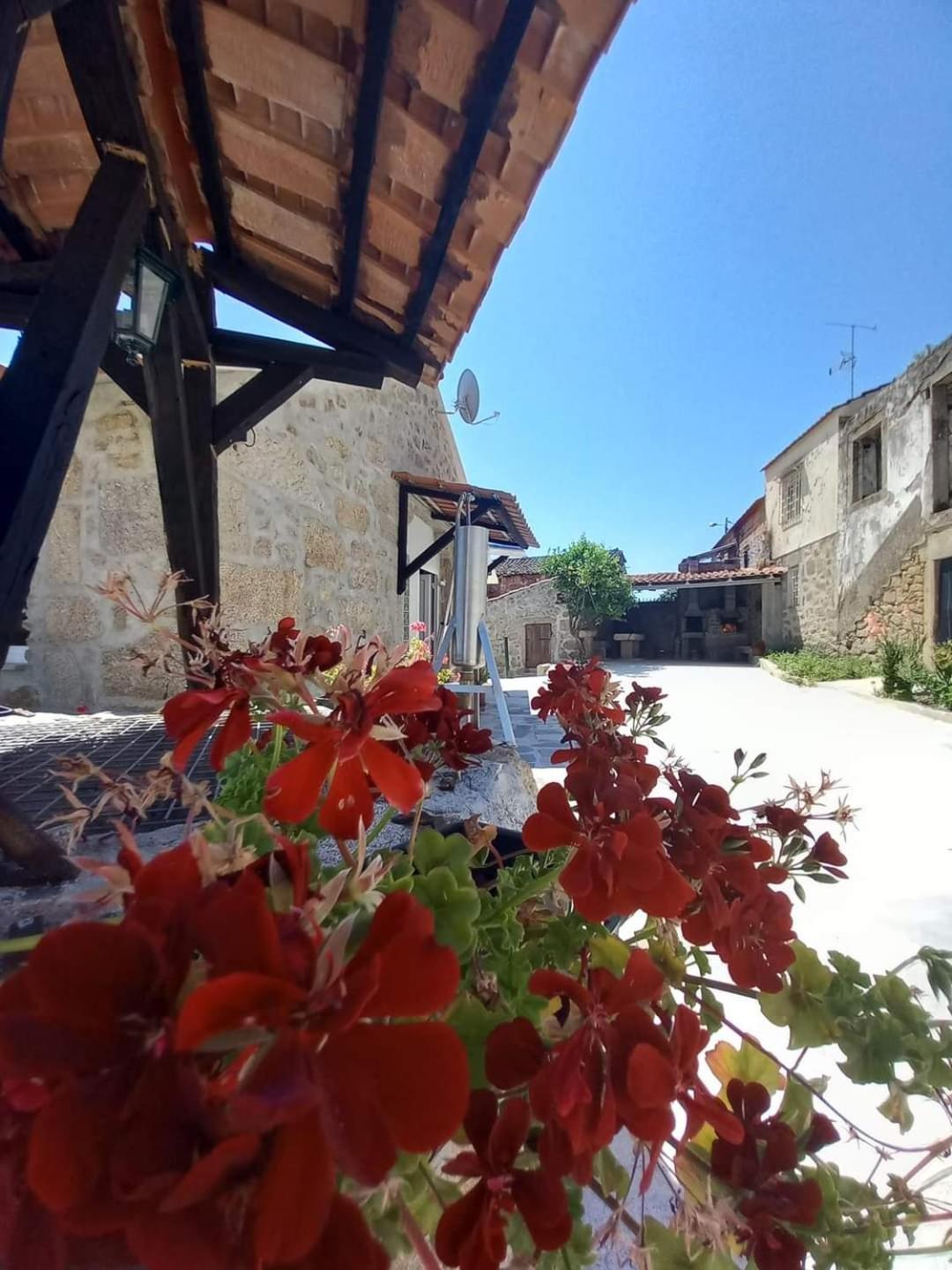 Quinta Do Cruzeiro Villa Mata  Buitenkant foto